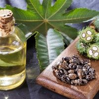 BSS Grade Castor Oil Manufacturers in Tamil Nadu