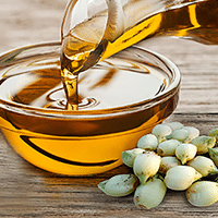 Gingelly Oil Exporters in Tamil Nadu
